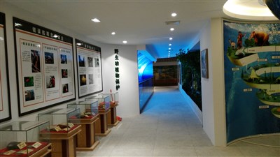 500平米展廳設(shè)計(jì)制作：現(xiàn)代/綠色，教育類展廳-桂林植物園科普展廳（免費(fèi)使用）